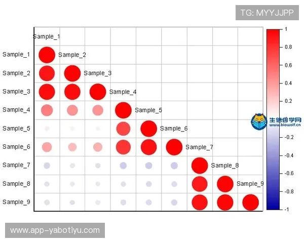 雅博体育移动端体验：手机端操作便捷性与功能全面性分析